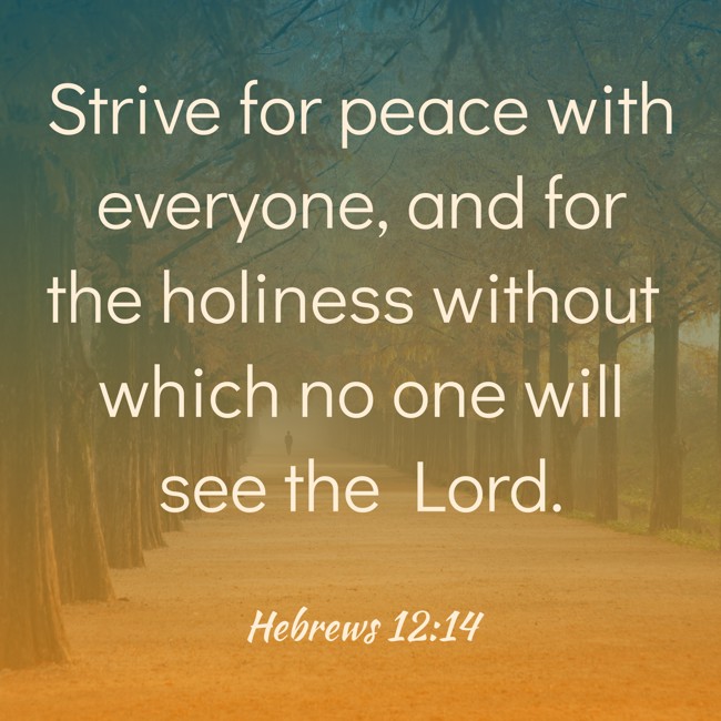 Strive for peace with everyone, and for the holiness without which no one will see the Lord. - Hebrews 12:14