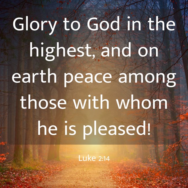Glory to God in the highest, and on earth peace among those with whom he is pleased! - Luke 2:14