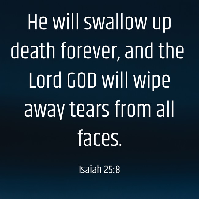 He will swallow up death forever, and the Lord GOD will wipe away tears from all faces. - Isaiah 25:8