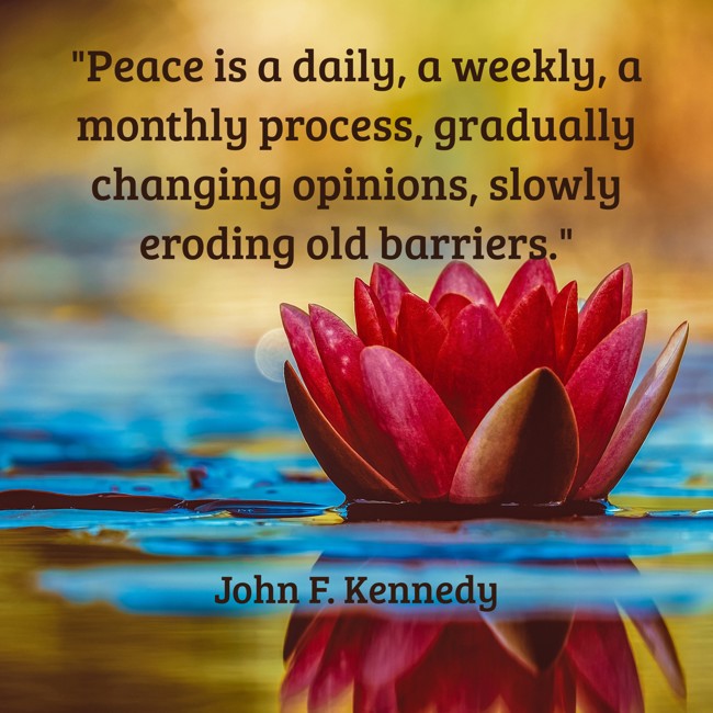 Peace is a daily, a weekly, a monthly process, gradually changing opinions, slowly eroding old barriers. - John F. Kennedy