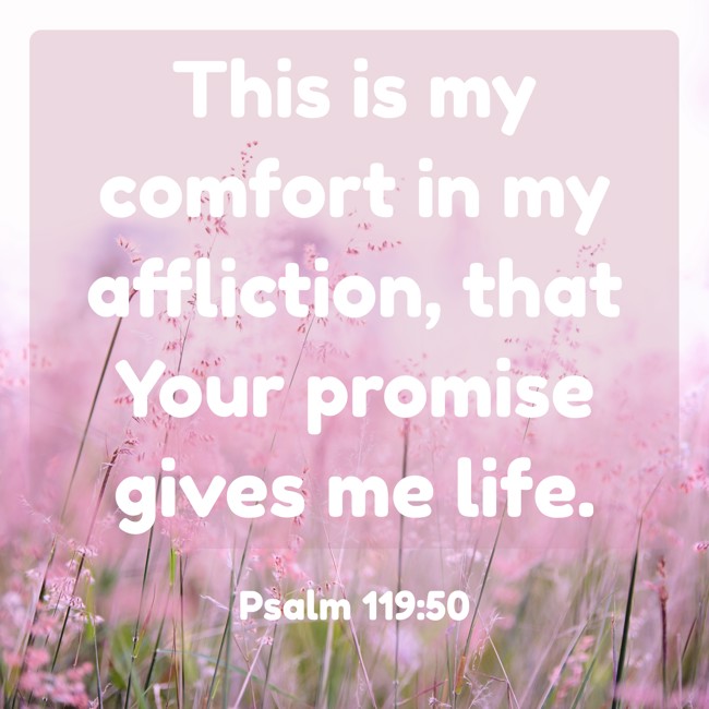 This is my comfort in my affliction, that Your promise gives me life. - Psalm 119:50