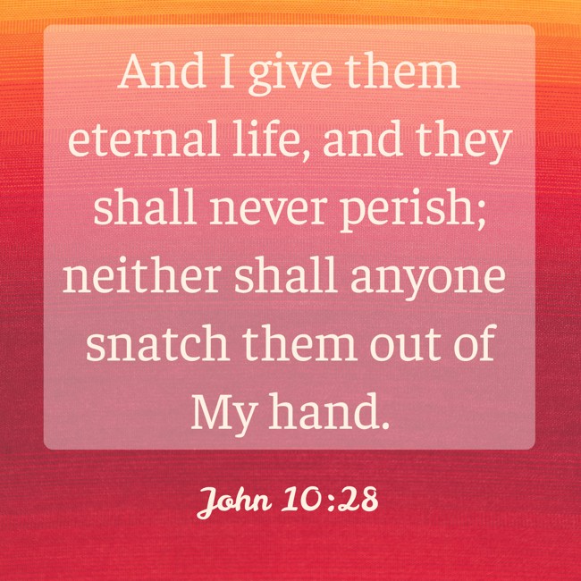 And I give them eternal life, and they shall never perish; neither shall anyone snatch them out of My hand. - John 10:28