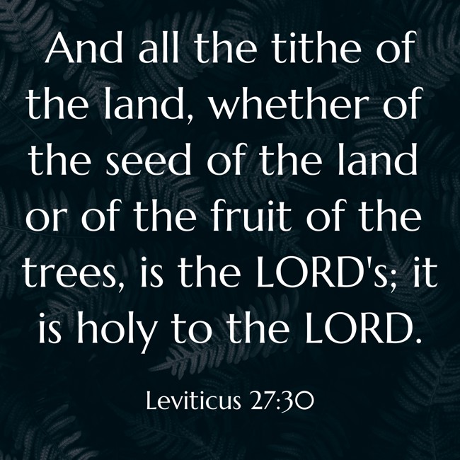  And all the tithe of the land, whether of the seed of the land or of the fruit of the trees, is the LORD's; it is holy to the LORD.   - Leviticus 27:30 
