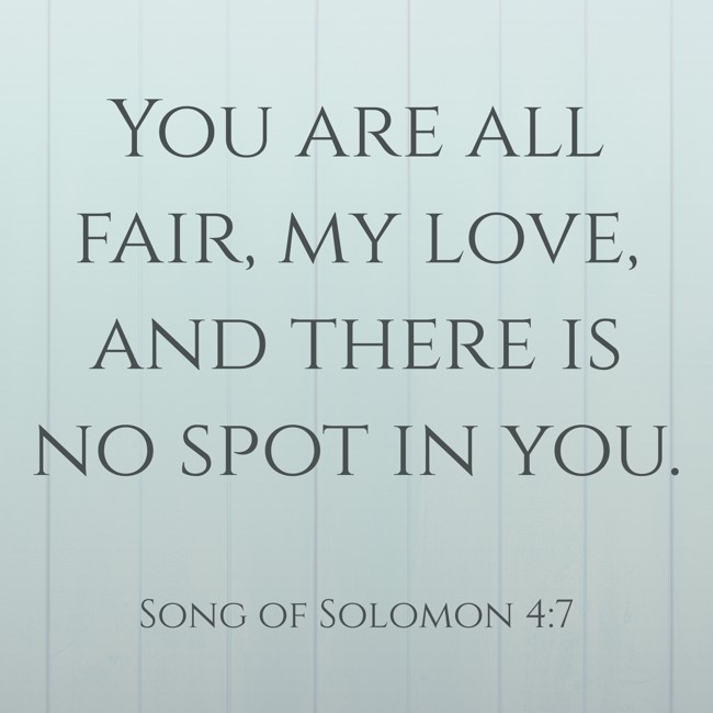 You are all fair, my love, and there is no spot in you. - Song of Solomon 4:7