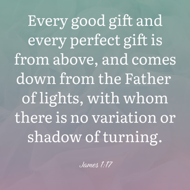  Every good gift and every perfect gift is from above, and comes down from the Father of lights, with whom there is no variation or shadow of turning.   - James 1:17 