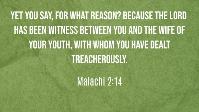 Yet you say, For what reason? Because the LORD has been witness between you and the wife of your youth, with whom you have dealt treacherously. - Malachi 2:14