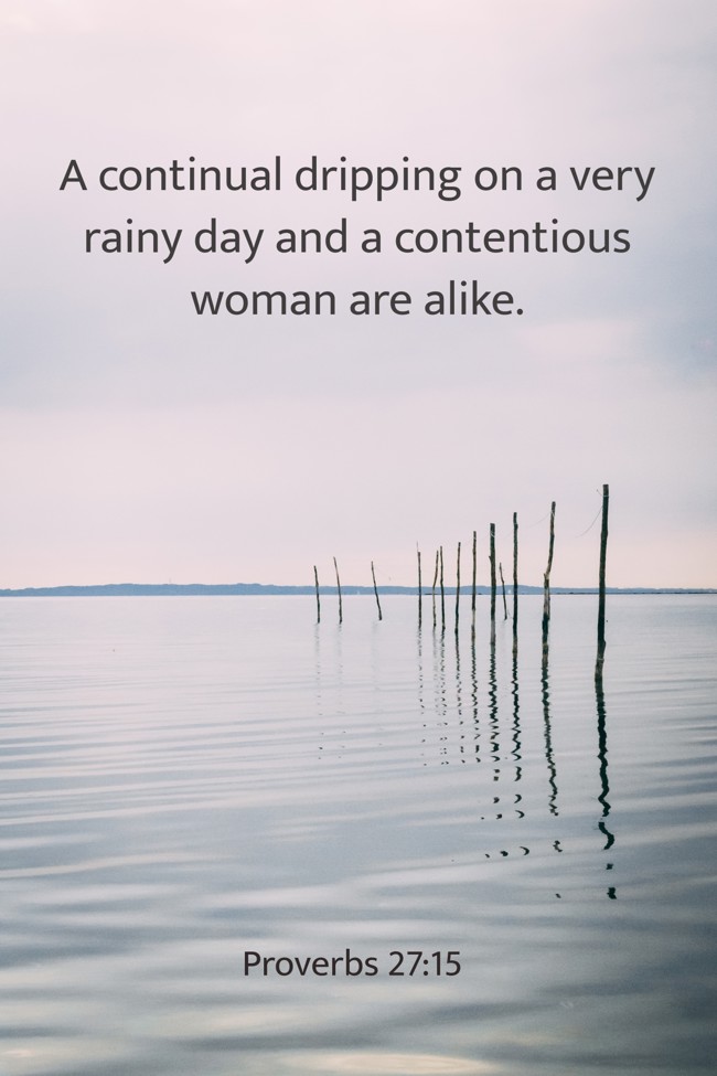 A continual dripping on a very rainy day and a contentious woman are alike. - Proverbs 27:15