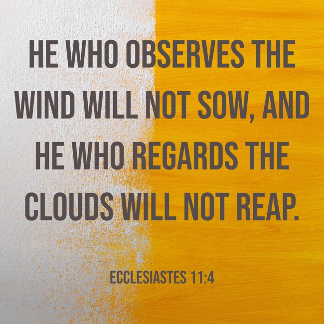 He who observes the wind will not sow, And he who regards the clouds will not reap. - Ecclesiastes 11:4