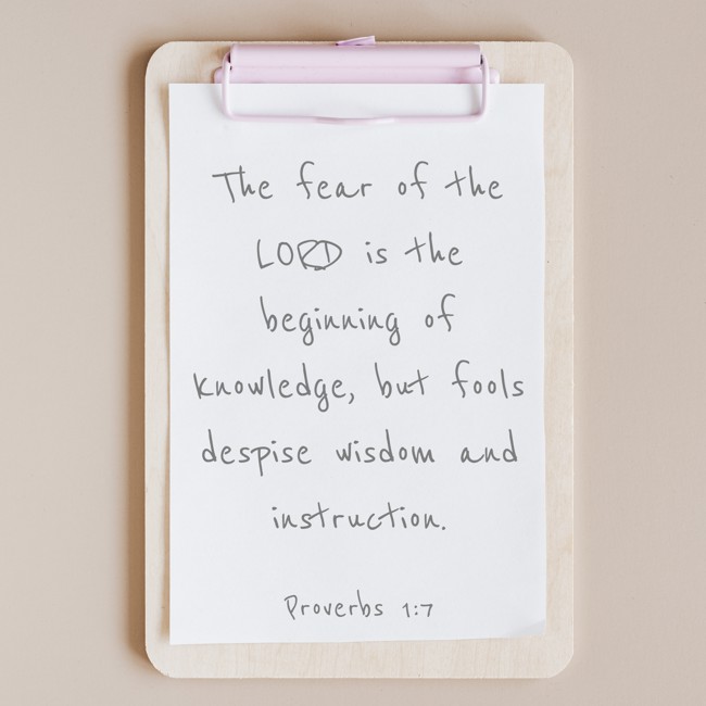  The fear of the LORD is the beginning of knowledge, but fools despise wisdom and instruction.   - Proverbs 1:7 