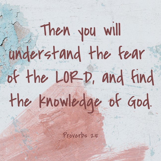  Then you will understand the fear of the LORD, and find the knowledge of God.   - Proverbs 2:5 