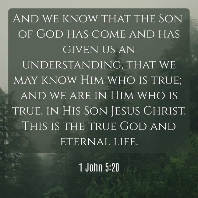  And we know that the Son of God has come and has given us an understanding, that we may know Him who is true; and we are in Him who is true, in His Son Jesus Christ. This is the true God and eternal life.   - 1 John 5:20 