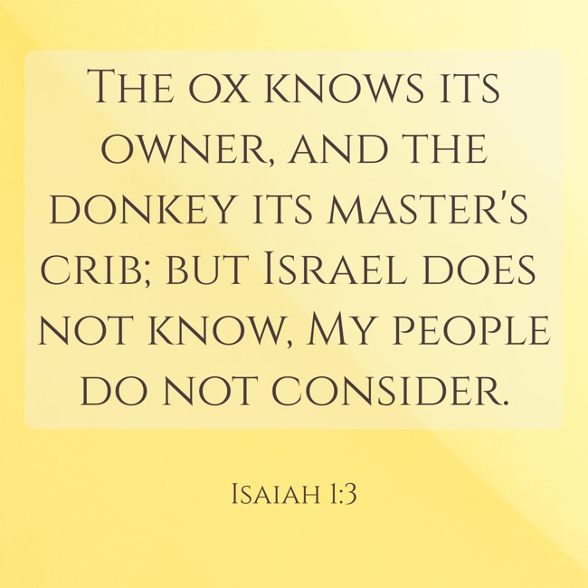  The ox knows its owner, and the donkey its master's crib; but Israel does not know, My people do not consider.   - Isaiah 1:3 
