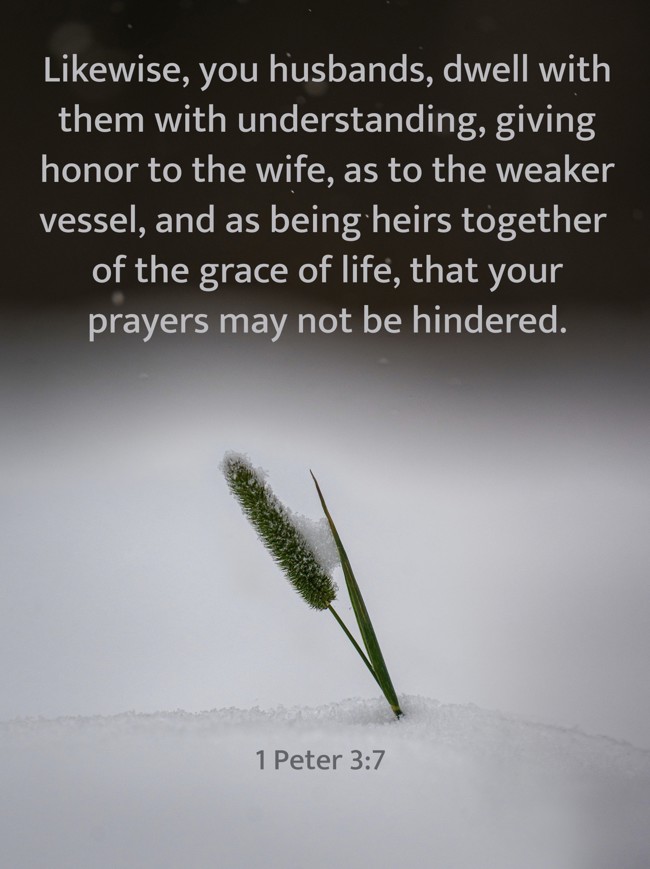 Likewise, you husbands, dwell with them with understanding, giving honor to the wife, as to the weaker vessel, and as being heirs together of the grace of life, that your prayers may not be hindered. - 1 Peter 3:7