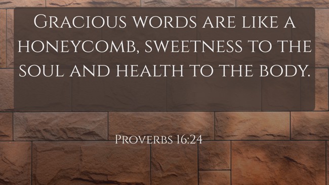 Gracious words are like a honeycomb, sweetness to the soul and health to the body. - Proverbs 16:24