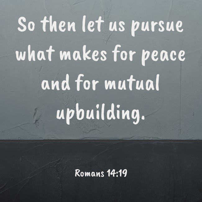 So then let us pursue what makes for peace and for mutual upbuilding. - Romans 14:19