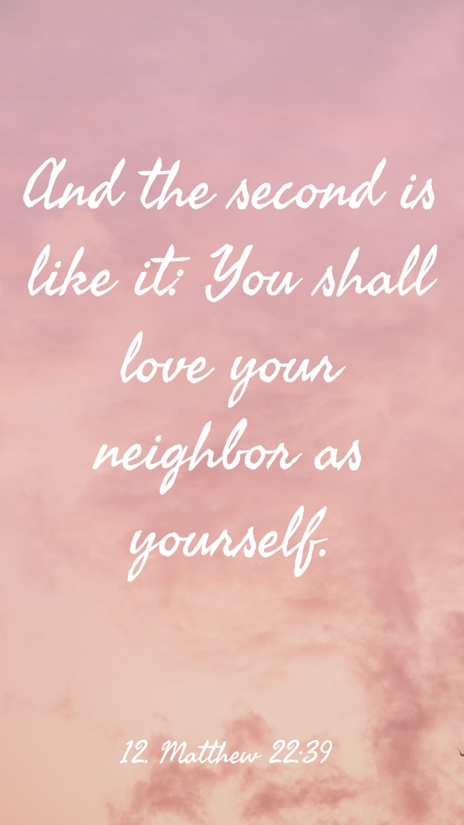 And the second is like it: You shall love your neighbor as yourself. - 12. Matthew 22:39