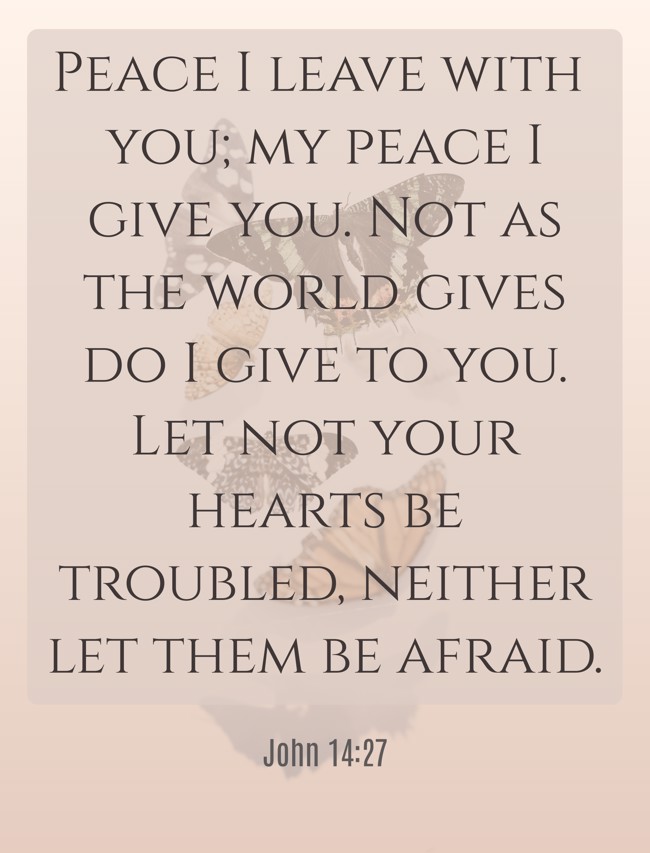 Peace I leave with you; my peace I give you. Not as the world gives do I give to you. Let not your hearts be troubled, neither let them be afraid. - John 14:27