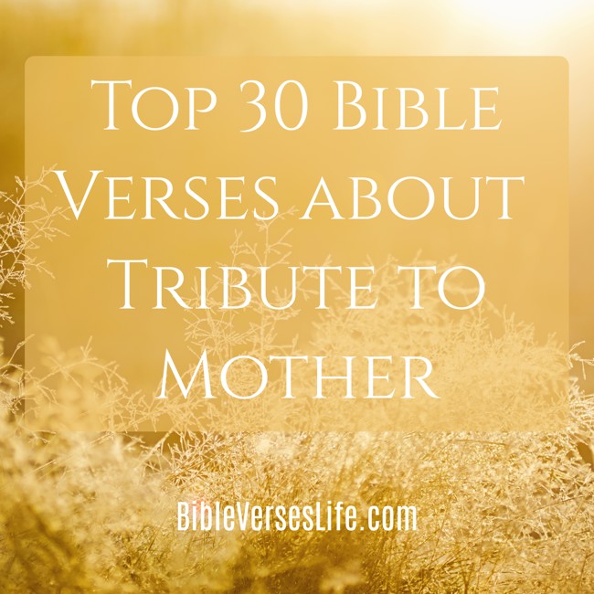 Top 30 Bible Verses about Tribute to Mother