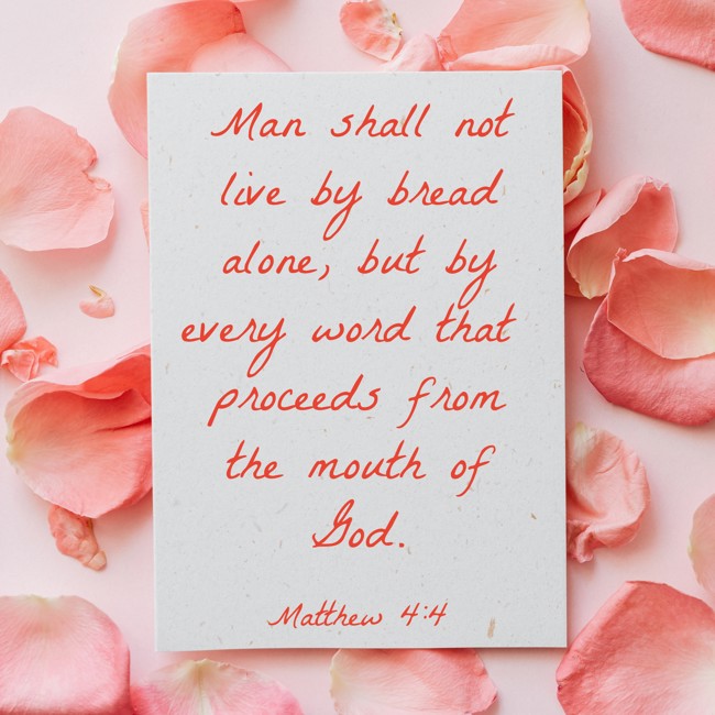  Man shall not live by bread alone, but by every word that proceeds from the mouth of God.   - Matthew 4:4 