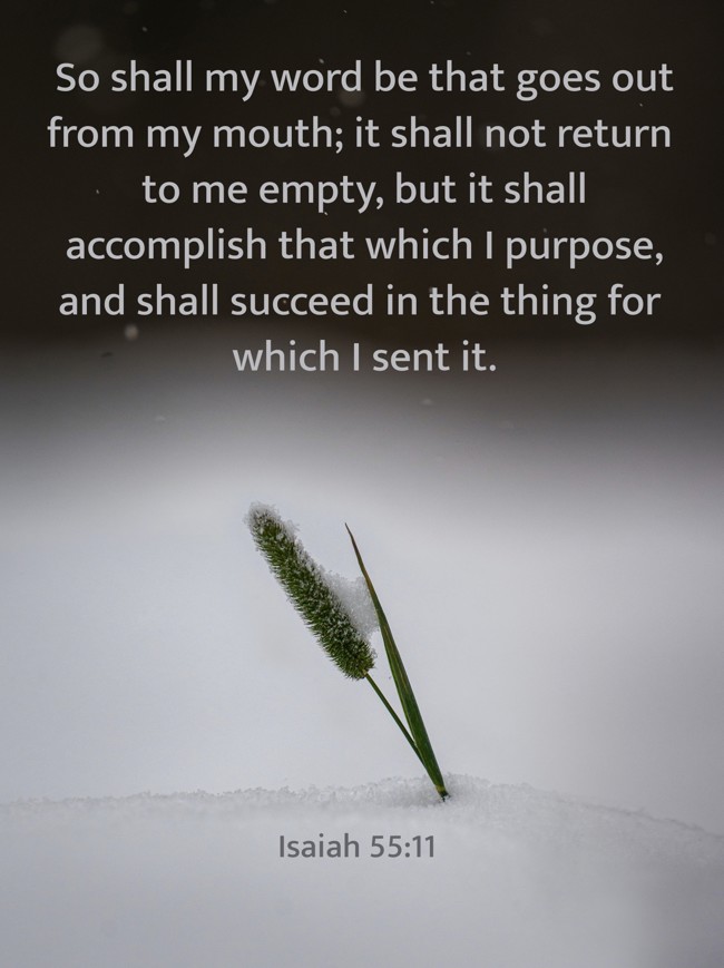  So shall my word be that goes out from my mouth; it shall not return to me empty, but it shall accomplish that which I purpose, and shall succeed in the thing for which I sent it.   - Isaiah 55:11 