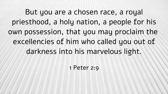  But you are a chosen race, a royal priesthood, a holy nation, a people for his own possession, that you may proclaim the excellencies of him who called you out of darkness into his marvelous light.   - 1 Peter 2:9 