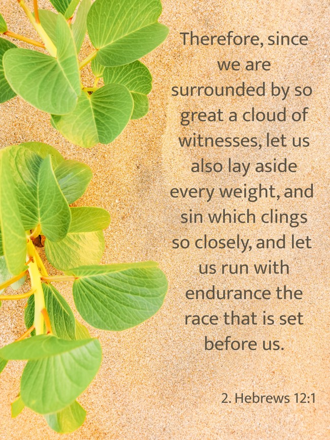 Therefore, since we are surrounded by so great a cloud of witnesses, let us also lay aside every weight, and sin which clings so closely, and let us run with endurance the race that is set before us. - 2. Hebrews 12:1