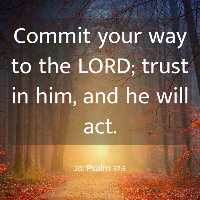 Commit your way to the LORD; trust in him, and he will act. - 20. Psalm 37:5