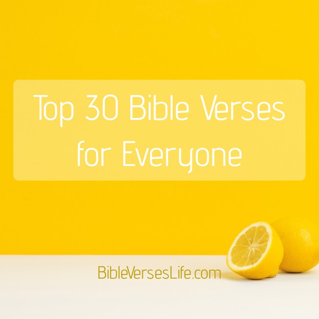 Top 30 Bible Verses for Everyone