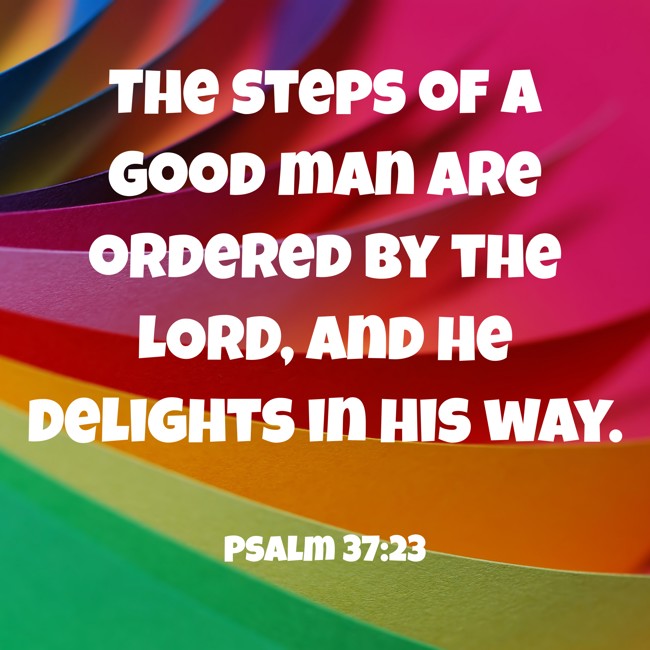  The steps of a good man are ordered by the LORD, and He delights in his way.   - Psalm 37:23 