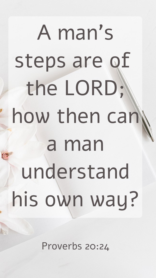  A man’s steps are of the LORD; how then can a man understand his own way?   - Proverbs 20:24 