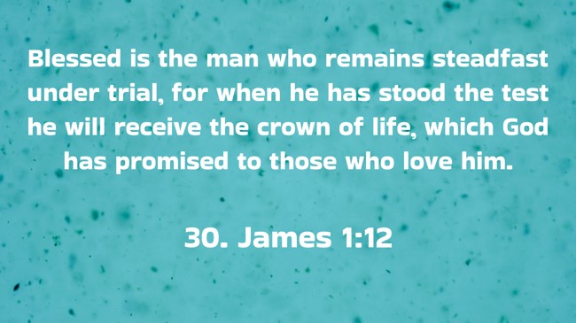 Blessed is the man who remains steadfast under trial, for when he has stood the test he will receive the crown of life, which God has promised to those who love him. - 30. James 1:12