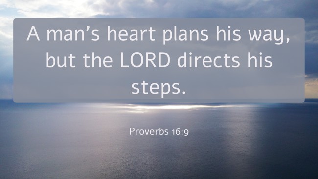  A man's heart plans his way, but the LORD directs his steps.   - Proverbs 16:9 