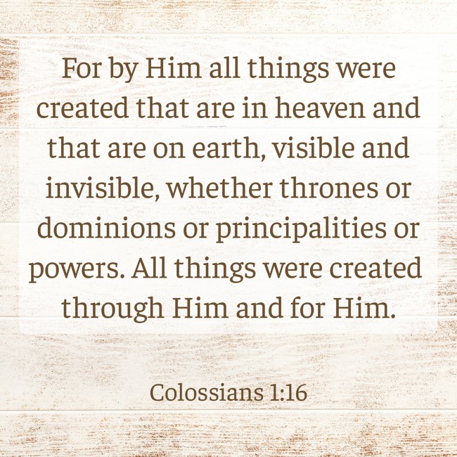  For by Him all things were created that are in heaven and that are on earth, visible and invisible, whether thrones or dominions or principalities or powers. All things were created through Him and for Him.   - Colossians 1:16 