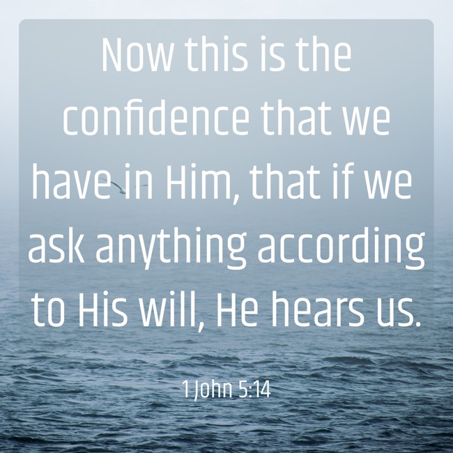  Now this is the confidence that we have in Him, that if we ask anything according to His will, He hears us.   - 1 John 5:14 