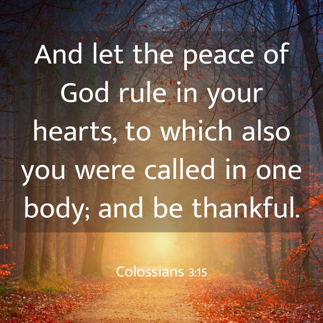 And let the peace of God rule in your hearts, to which also you were called in one body; and be thankful. - Colossians 3:15