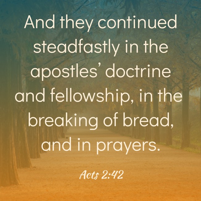 And they continued steadfastly in the apostles’ doctrine and fellowship, in the breaking of bread, and in prayers.   - Acts 2:42 