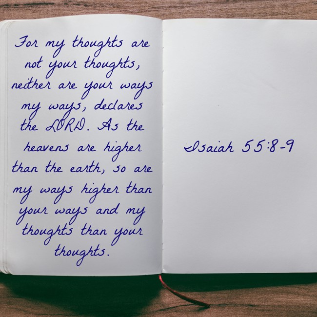  For my thoughts are not your thoughts, neither are your ways my ways, declares the LORD. As the heavens are higher than the earth, so are my ways higher than your ways and my thoughts than your thoughts.   - Isaiah 55:8-9 