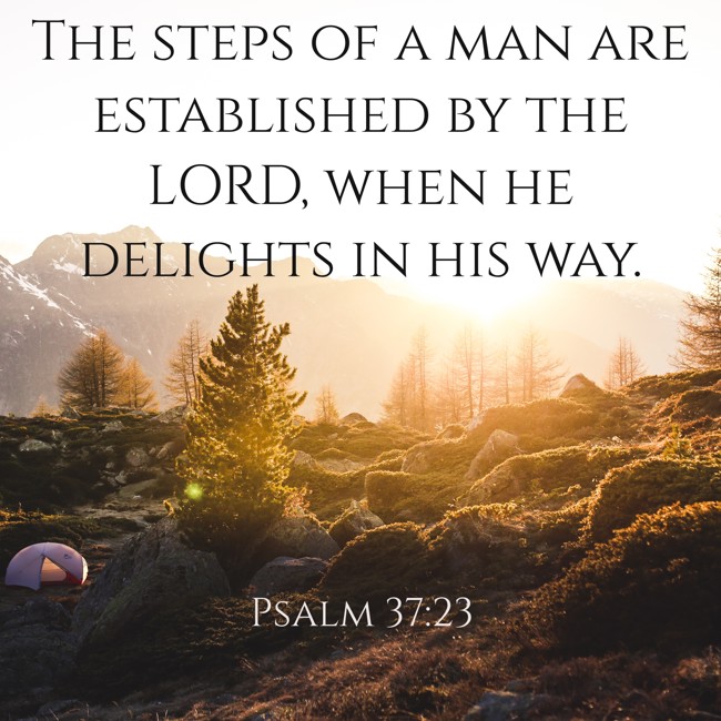  The steps of a man are established by the LORD, when he delights in his way.   - Psalm 37:23 
