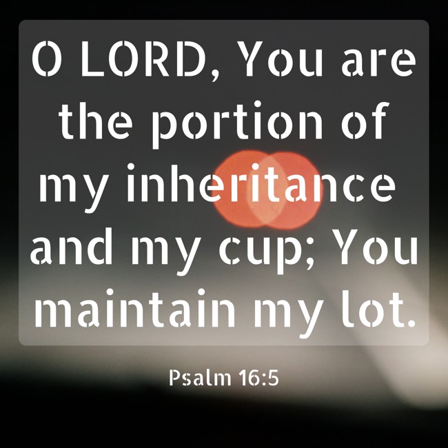 O LORD, You are the portion of my inheritance and my cup; You maintain my lot. - Psalm 16:5