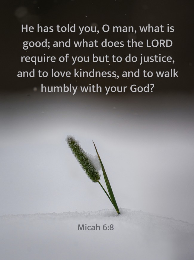  He has told you, O man, what is good; and what does the LORD require of you but to do justice, and to love kindness, and to walk humbly with your God?   - Micah 6:8 