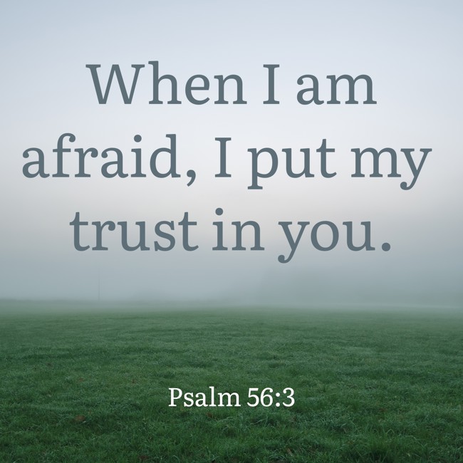 When I am afraid, I put my trust in you. - Psalm 56:3