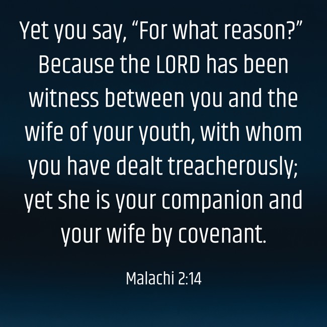 Yet you say, “For what reason?” Because the LORD has been witness between you and the wife of your youth, with whom you have dealt treacherously; yet she is your companion and your wife by covenant. - Malachi 2:14