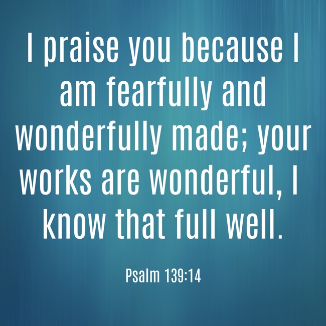 I praise you because I am fearfully and wonderfully made; your works are wonderful, I know that full well. - Psalm 139:14