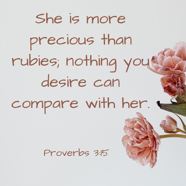 She is more precious than rubies; nothing you desire can compare with her. - Proverbs 3:15