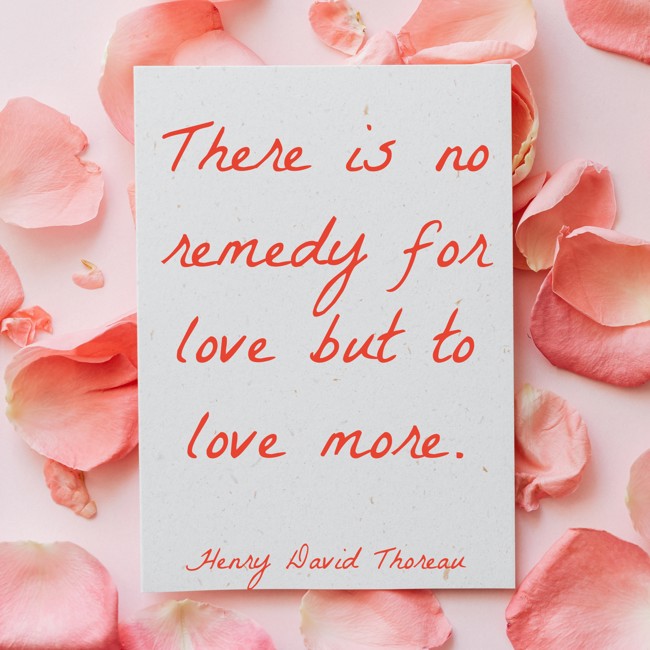 There is no remedy for love but to love more. - Henry David Thoreau