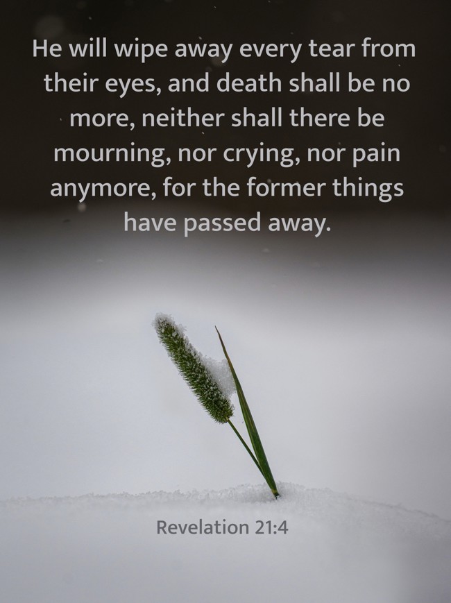 He will wipe away every tear from their eyes, and death shall be no more, neither shall there be mourning, nor crying, nor pain anymore, for the former things have passed away. - Revelation 21:4