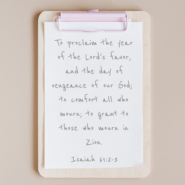 To proclaim the year of the Lord's favor, and the day of vengeance of our God; to comfort all who mourn; to grant to those who mourn in Zion. - Isaiah 61:2-3