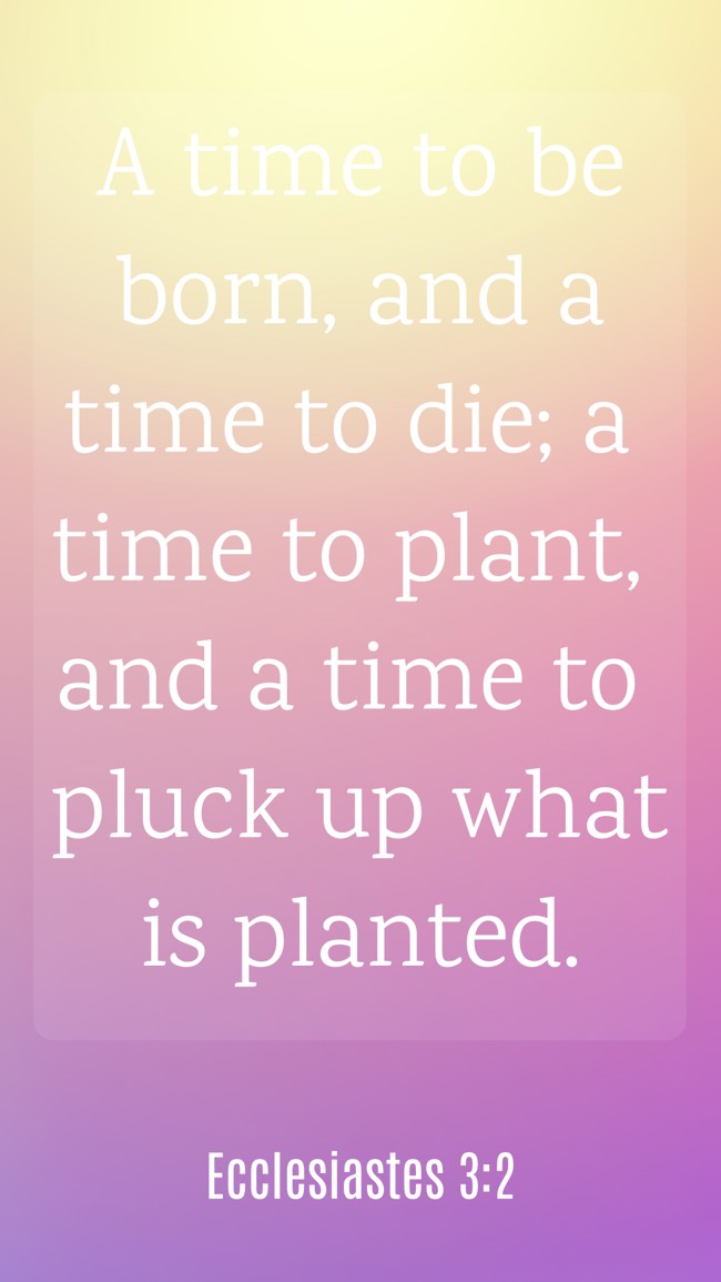 A time to be born, and a time to die; a time to plant, and a time to pluck up what is planted. - Ecclesiastes 3:2