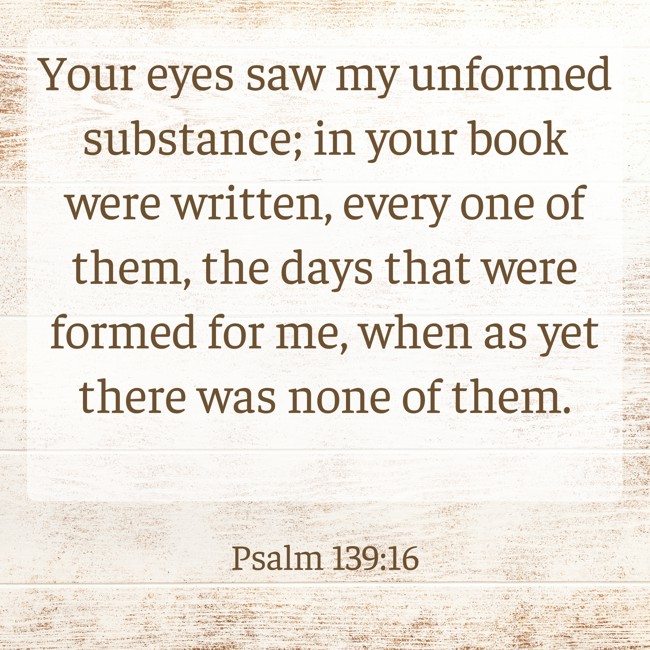 Your eyes saw my unformed substance; in your book were written, every one of them, the days that were formed for me, when as yet there was none of them. - Psalm 139:16