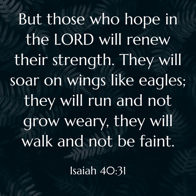 But those who hope in the LORD will renew their strength. They will soar on wings like eagles; they will run and not grow weary, they will walk and not be faint. - Isaiah 40:31